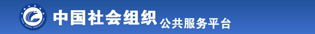 老司机，干炮。全国社会组织信息查询